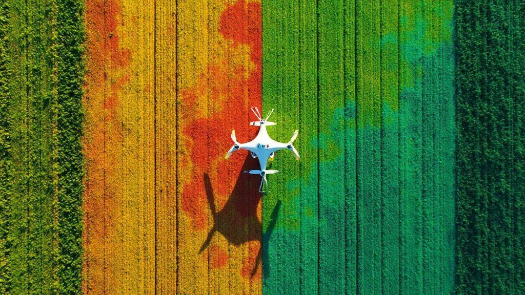 GNDVI vs NDVI: Which Index to Use for Nitrogen Detection in Plants?
