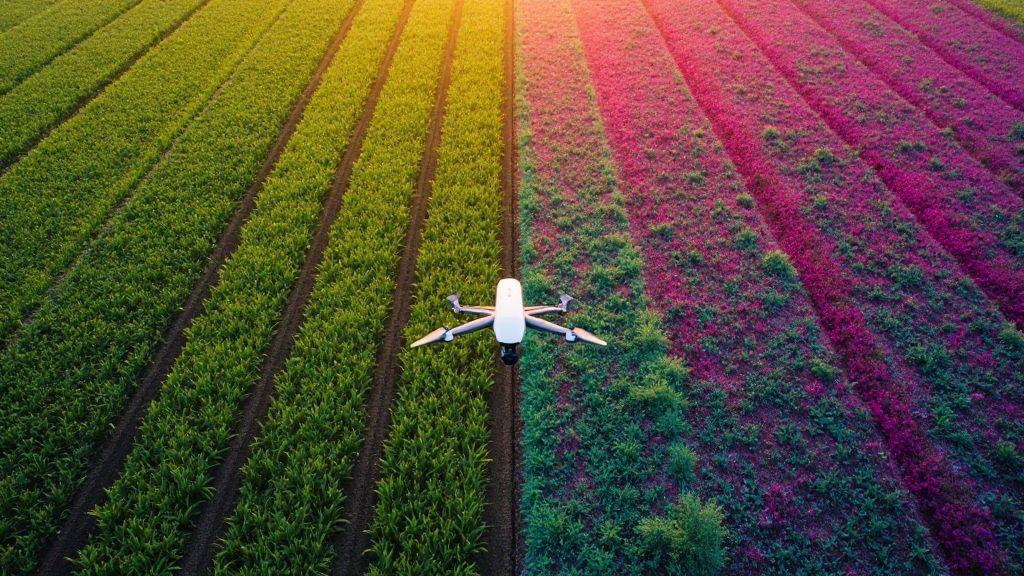 RGB vs Multispectral Cameras: Which to Use for Agricultural Mapping?